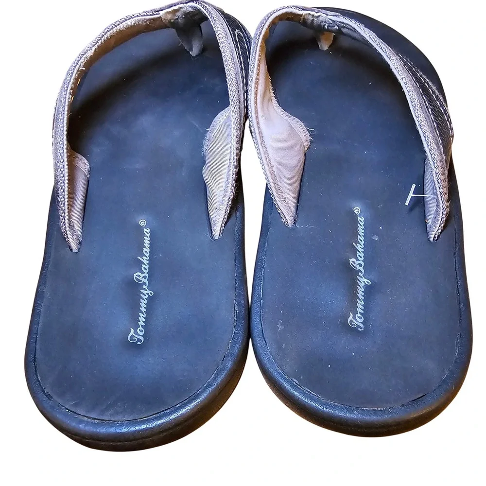 Tommy Bahama tommy bahama